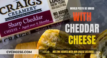 Cheddar and Pesto: A Match Made in Culinary Heaven or a Gross Disaster?