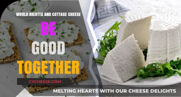 Ricotta and Cottage Cheese: A Delicious Duo or Dairy Disaster?