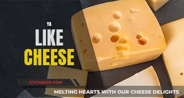 Cheese Appreciation: A Tasty Adventure for Your Palate